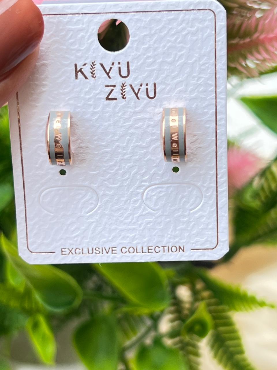 Luxury Earrings
