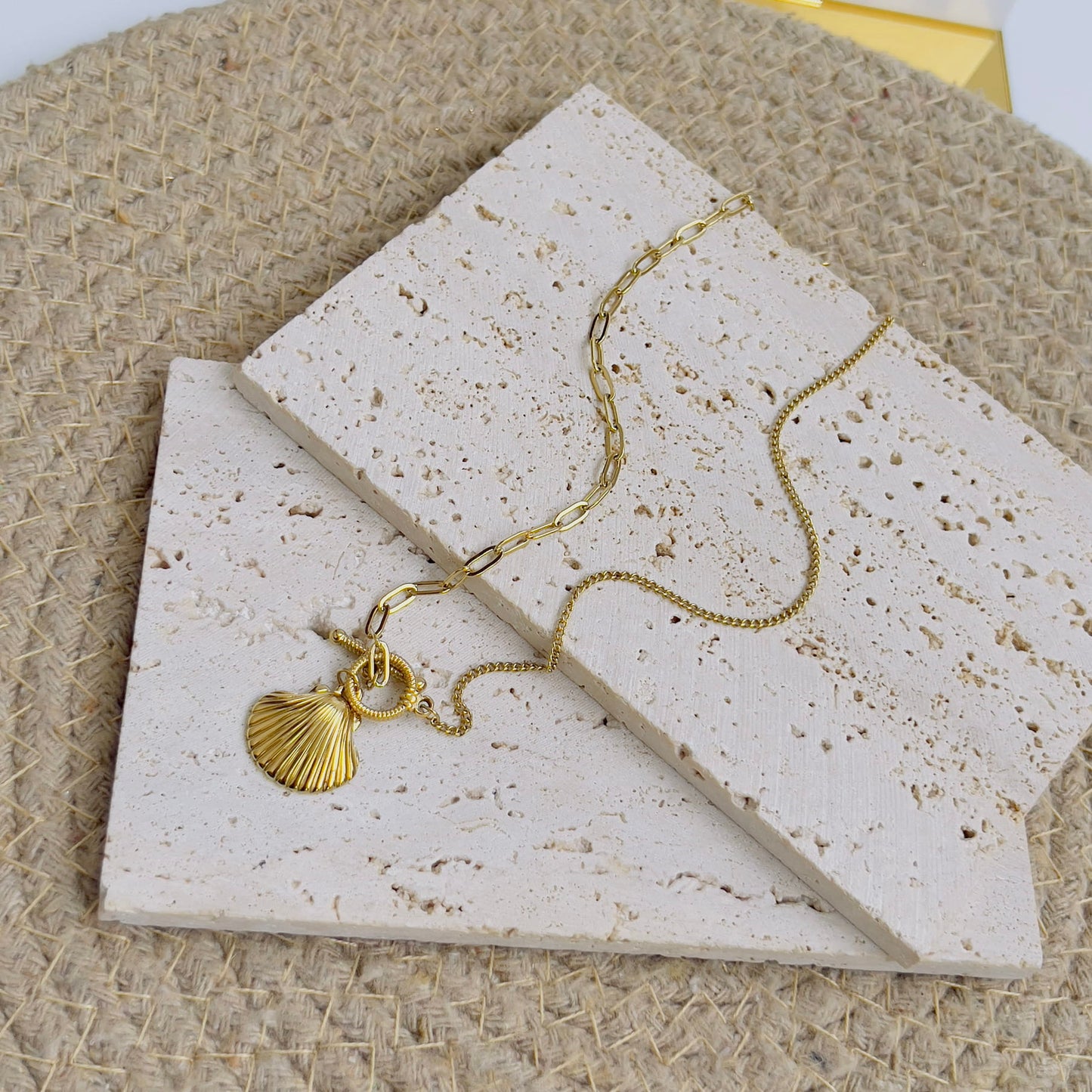 Shell with link chian necklace