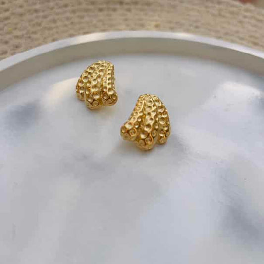 Wing earrings